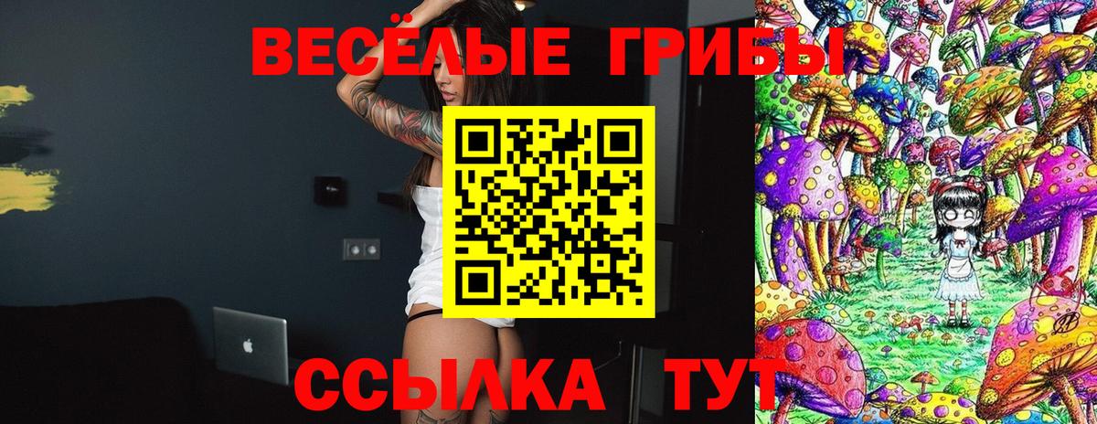 Галлюциногенные грибы мицелий  Вход с VPN  Назарово 
